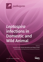 Special issue <em>Leptospira</em> infections in Domestic and Wild Animal book cover image