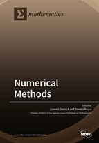 Special Issue Numerical Methods book cover image
