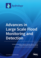 Special issue Advances in Large Scale Flood Monitoring and Detection book cover image