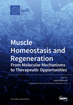 Special issue Muscle Homeostasis and Regeneration: From Molecular Mechanisms to Therapeutic Opportunities book cover image