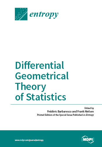 Differential Geometrical Theory of Statistics | MDPI Books