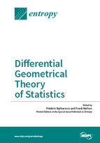Special issue Differential Geometrical Theory of Statistics book cover image