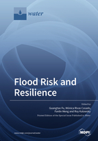 Special issue Flood Risk and Resilience book cover image