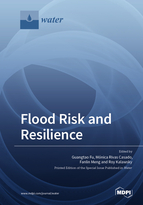 Special Issue Flood Risk and Resilience book cover image
