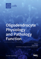 Special issue Oligodendrocyte Physiology and Pathology Function book cover image