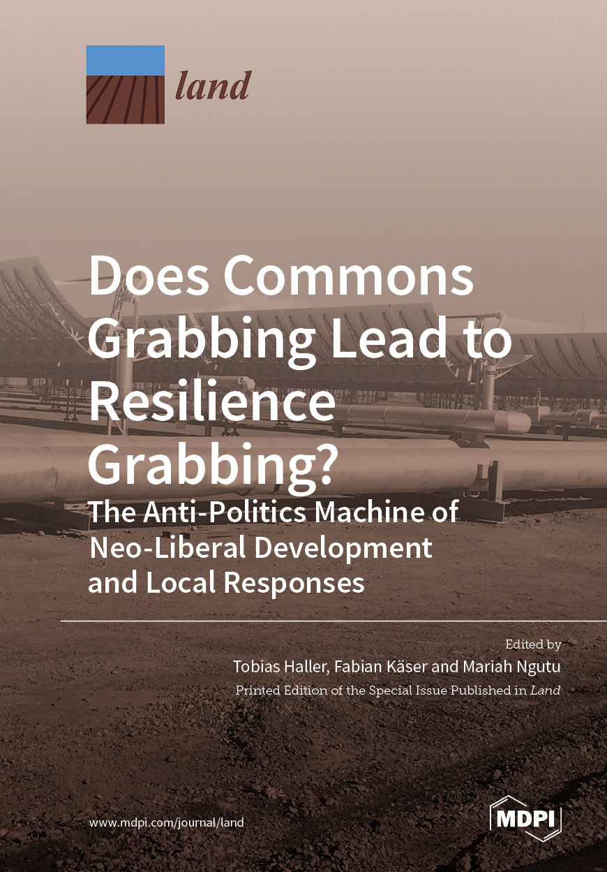 Does Commons Grabbing Lead to Resilience Grabbing?
