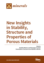 Special issue New Insights in Stability, Structure and Properties of Porous Materials book cover image