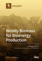 Special issue Woody Biomass for Bioenergy Production book cover image