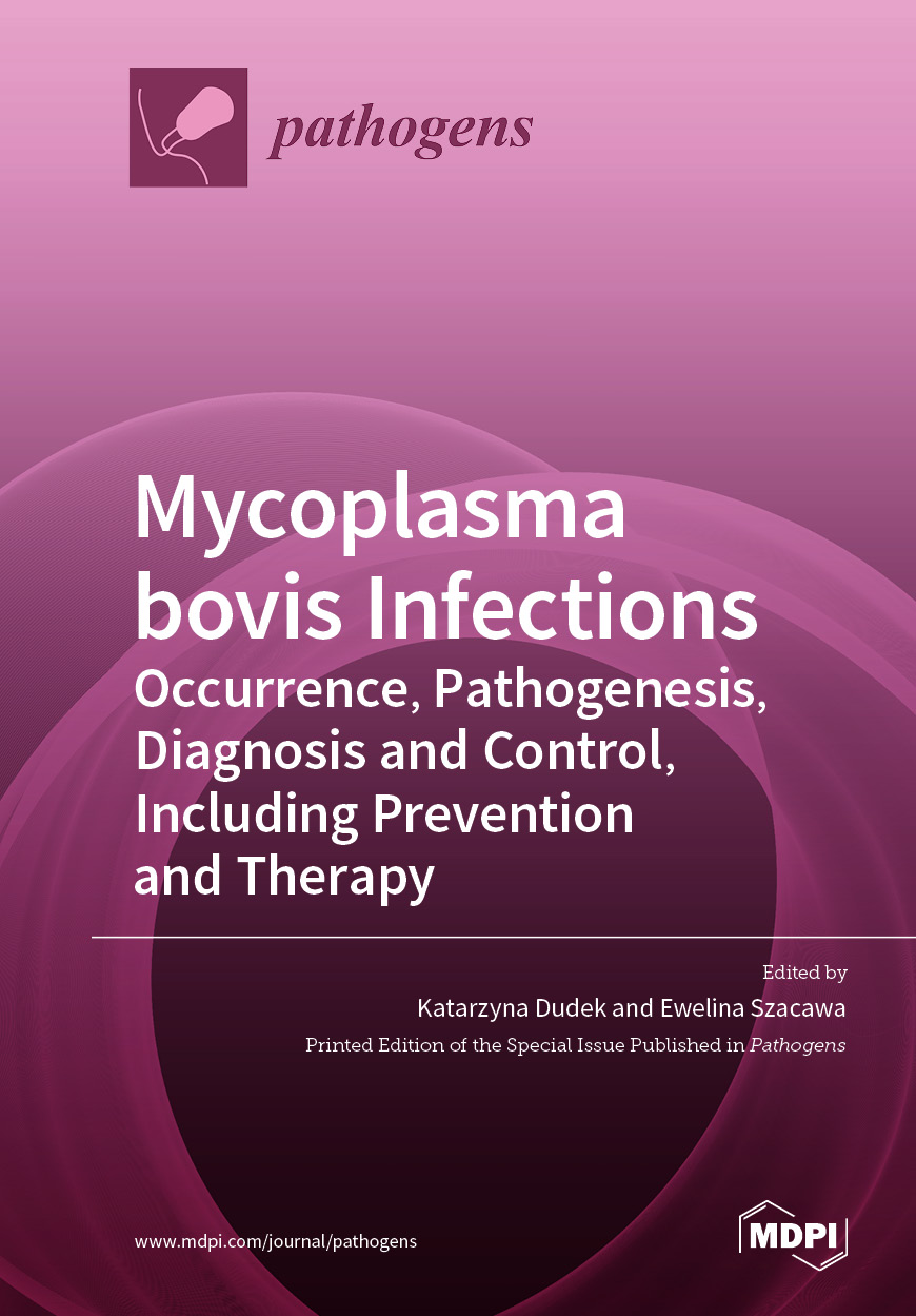 <em>Mycoplasma bovis</em> Infections