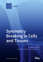 Special issue Symmetry Breaking in Cells and Tissues book cover image