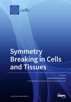 Special Issue Symmetry Breaking in Cells and Tissues book cover image