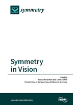 Special issue Symmetry in Vision book cover image
