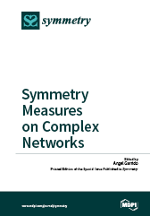 Book cover: Symmetry Measures on Complex Networks