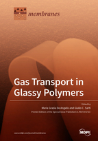 Special issue Gas Transport in Glassy Polymers book cover image