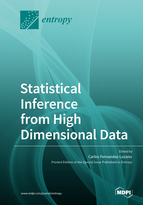 Special issue Statistical Inference from High Dimensional Data book cover image