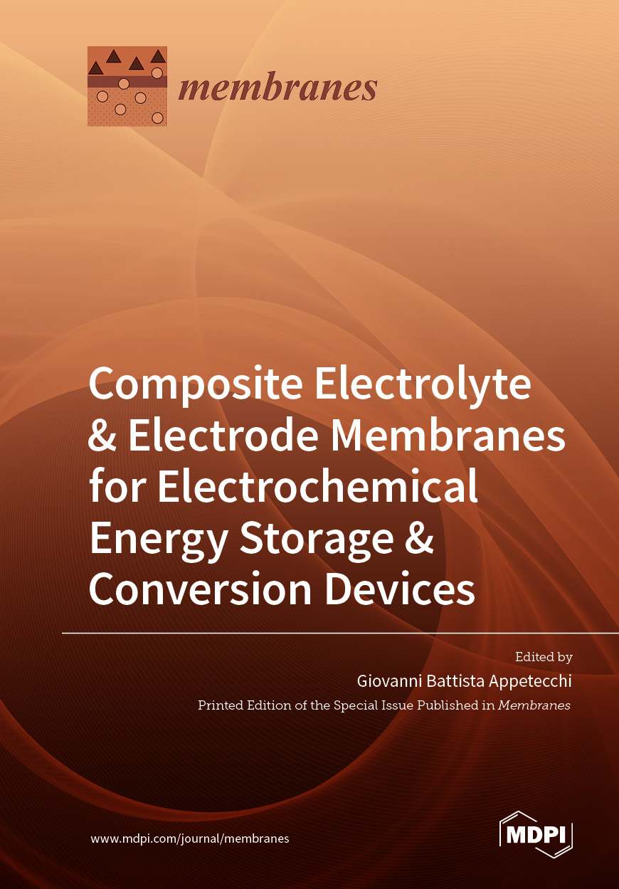 Book cover: Composite Electrolyte &amp; Electrode Membranes for Electrochemical Energy Storage &amp; Conversion Devices