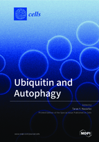 Ubiquitin and Autophagy