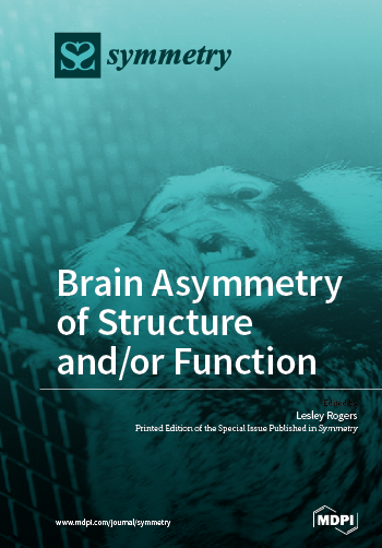 Special issue Brain Asymmetry of Structure and/or Function book cover image