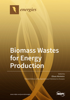 Special issue Biomass Wastes for Energy Production book cover image