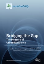 Special issue Bridging the Gap: The Measure of Urban Resilience book cover image