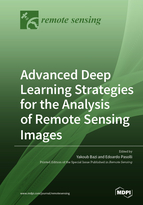 Special issue Advanced Deep Learning Strategies for the Analysis of Remote Sensing Images book cover image