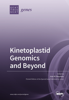 Special issue Kinetoplastid Genomics and Beyond book cover image