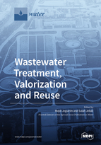 Special issue Wastewater Treatment, Valorization and Reuse book cover image