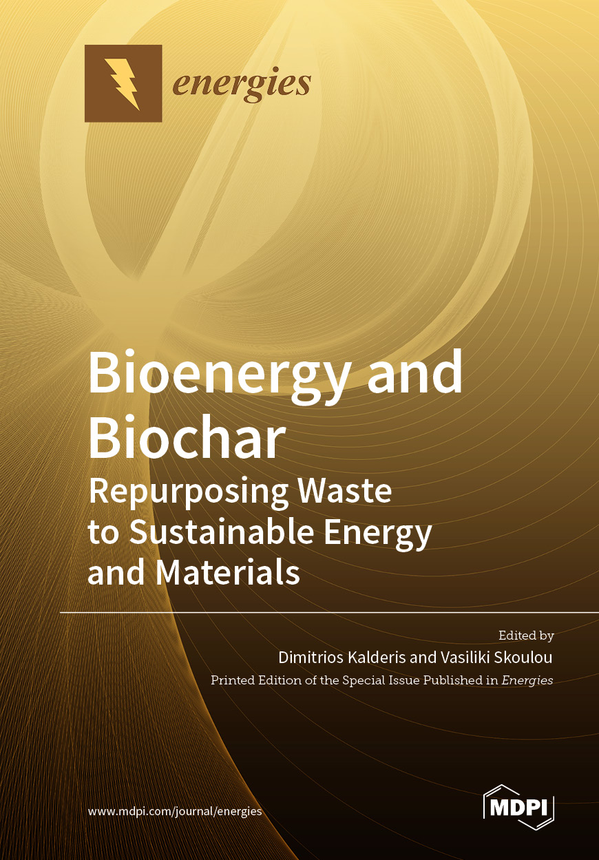 Book cover: Bioenergy and Biochar: Repurposing Waste to Sustainable Energy and Materials
