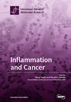 Special issue Inflammation and Cancer book cover image