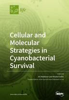 Special issue Cellular and Molecular Strategies in Cyanobacterial Survival book cover image