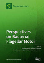 Special issue Perspectives on Bacterial Flagellar Motor book cover image