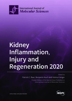 Special issue Kidney Inflammation, Injury and Regeneration 2020 book cover image