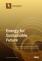 Special issue Energy for Sustainable Future book cover image