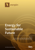 Special Issue Energy for Sustainable Future book cover image