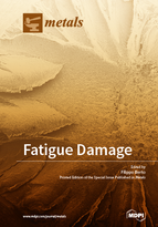 Special Issue Fatigue Damage book cover image
