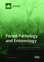 Special issue Forest Pathology and Entomology book cover image