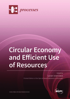 Special issue Circular Economy and Efficient Use of Resources book cover image