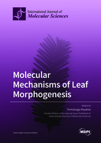 Special issue Molecular Mechanisms of Leaf Morphogenesis book cover image