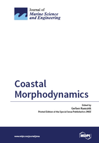 Special issue Coastal Morphodynamics book cover image