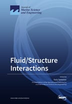 Special issue Fluid/Structure Interactions book cover image