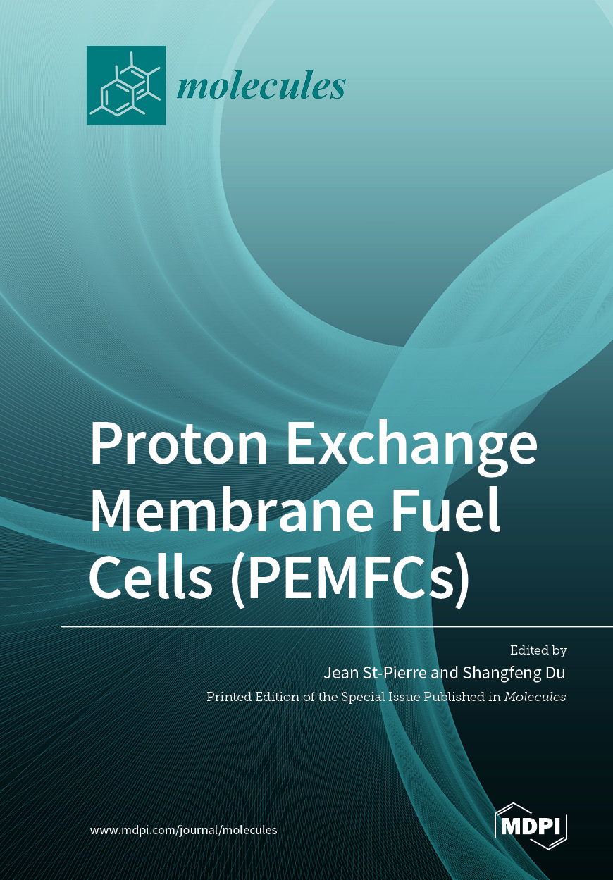 Proton Exchange Membrane Fuel Cells (PEMFCs)