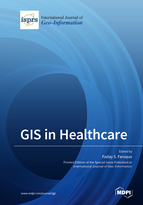 Special issue GIS in Healthcare book cover image