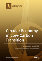 Special issue Circular Economy in Low-Carbon Transition book cover image