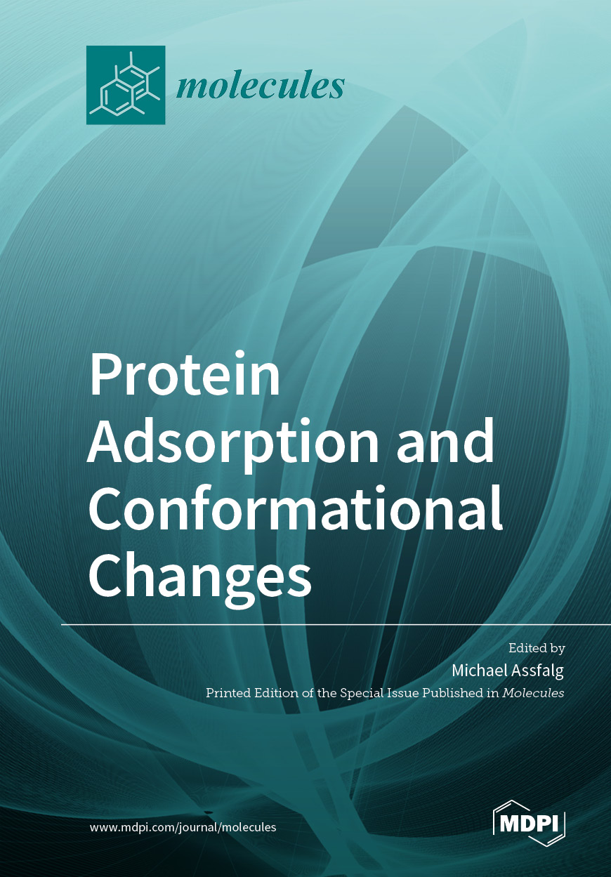 Protein Adsorption and Conformational Changes