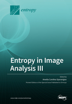 Entropy in Image Analysis III