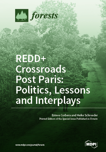 REDD+ Crossroads Post Paris: Politics, Lessons and Interplays