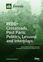 Special issue REDD+ Crossroads Post Paris: Politics, Lessons and Interplays book cover image