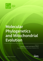 Special issue Molecular Phylogenetics and Mitochondrial Evolution book cover image