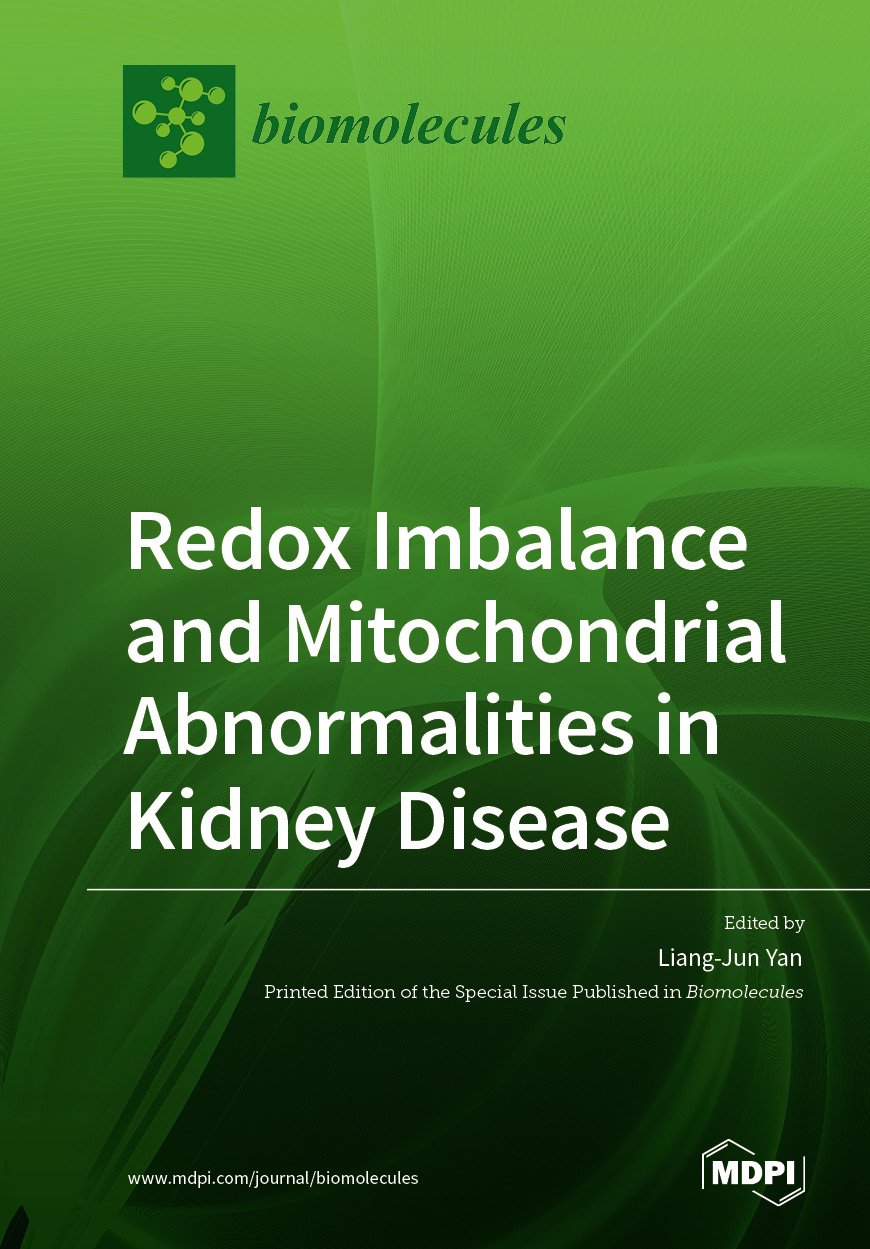 Book cover: Redox Imbalance and Mitochondrial Abnormalities in Kidney Disease