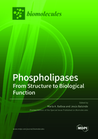 Special issue Phospholipases: From Structure to Biological Function book cover image